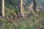 IMG_4201