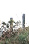 IMG_4203