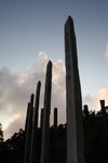 IMG_4235