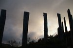 IMG_4252
