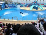 DSC03440