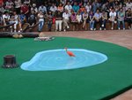 DSC03493