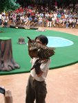 DSC03496