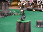 DSC03498