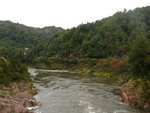 DSC06000
