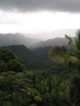 El Yunque, Caribbean National RainForest
