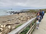 March 28 - California - Highway 1: Visitor Point - San Simeon - Hyw 1 - Elephant Seal
