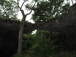 Let us join the Discovery tour to explore the Natural Bridge Caverns.