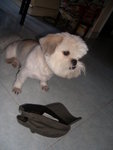 SANY0694