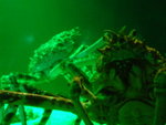 DSCF5963