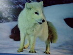 DSCF6031