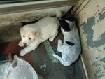 DSCF2426_resize