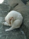 DSCF2441_resize