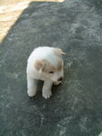 DSCF2444_resize