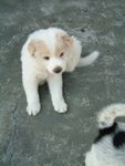 DSCF2450_resize