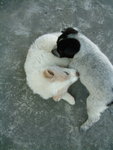 DSCF2455_resize