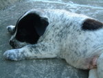 DSCF2502_resize
