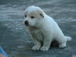 DSCF2504_resize