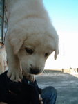 DSCF2506_resize