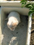 DSCF2507_resize
