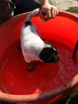 DSCF2510_resize