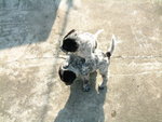 DSCF2513_resize