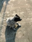 DSCF2514_resize