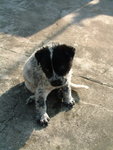 DSCF2515_resize