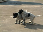DSCF2517_resize