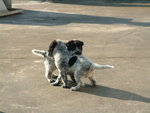 DSCF2518_resize