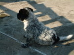 DSCF2519_resize