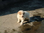 DSCF2521_resize