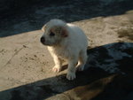 DSCF2522_resize