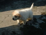 DSCF2523_resize