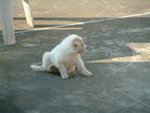 DSCF2524_resize