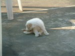 DSCF2525_resize