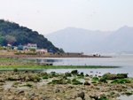 DSCF1419
