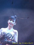 tIMG_4640