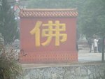 DSCF0065