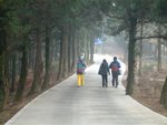 DSCF0165