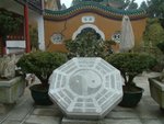 DSCF0181