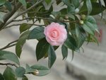 DSCF0184