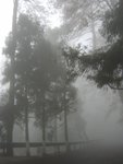SANY0046