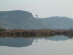 DSCF1006
