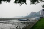 IMG_8392
