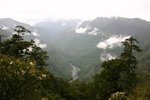 IMG_8574