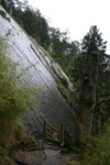 IMG_8587