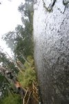 IMG_8591