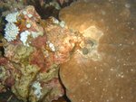 n_photo_02