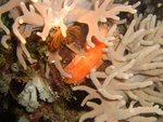 n_photo_03